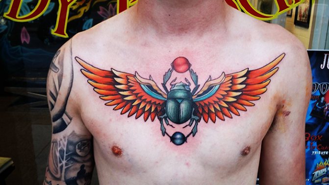 Tatouage de scarabée. Signification, croquis, photos sur pied, main, poignet, dos, cou