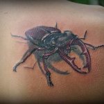 Un tatouage de coccinelle pour les voleurs