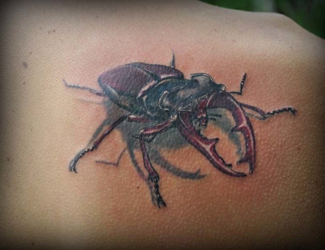 Le tatouage de Beetlejuice s'applique aux voleurs