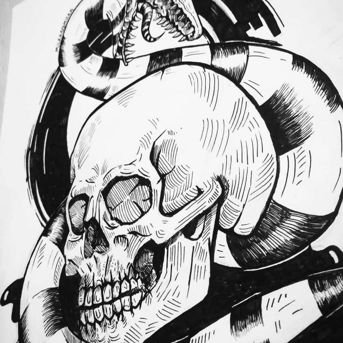 Serpent et crâne