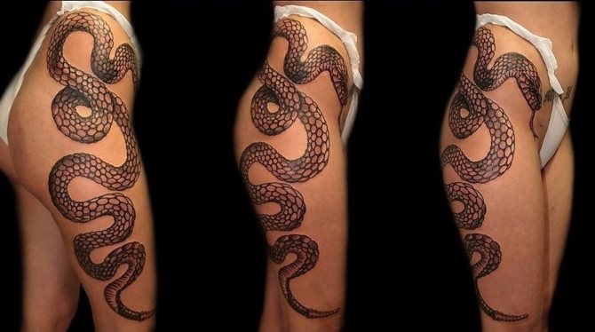 Serpent sur la hanche
