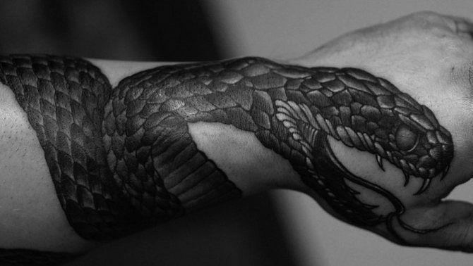 Serpent sur la main