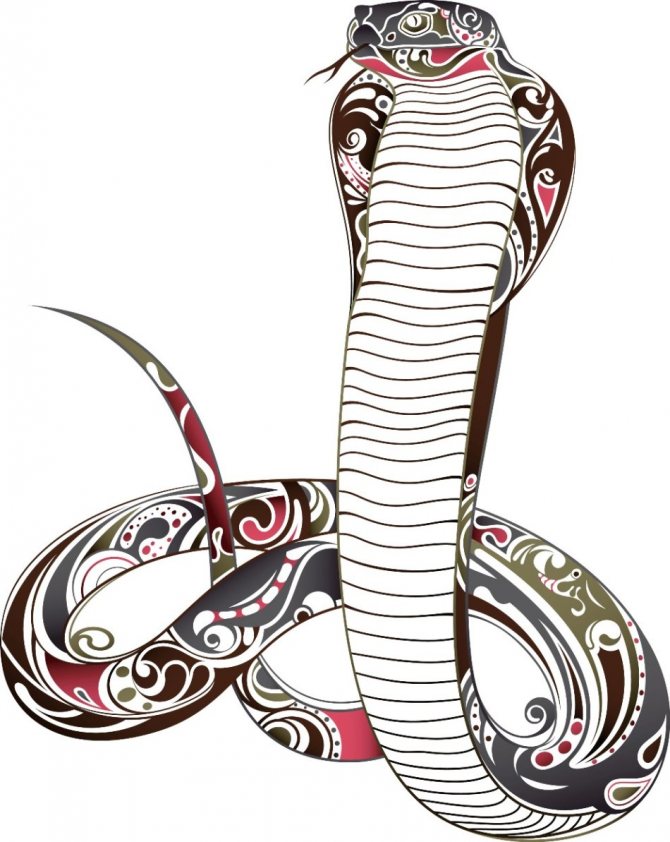 Serpent avec peinture