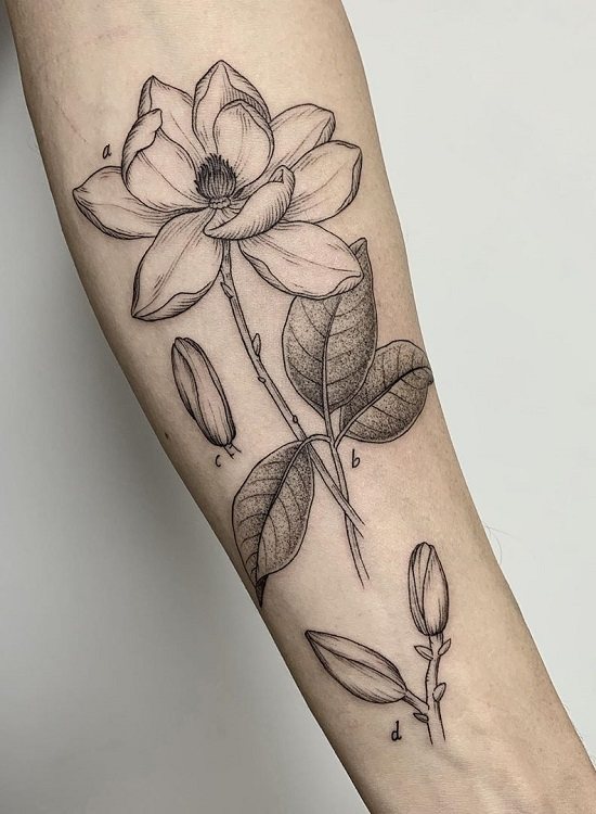 Signification du tatouage Magnolia