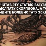 signification du tatouage scorpion