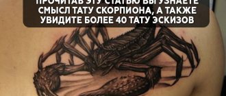 Signification du tatouage de scorpion