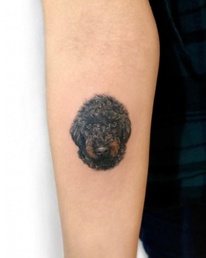 signification du tatouage du chien