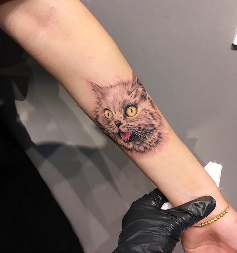 Signification du tatouage de chat pour filles et hommes, chats égyptiens, sphinx, tête de chat, noir, ailes, pattes