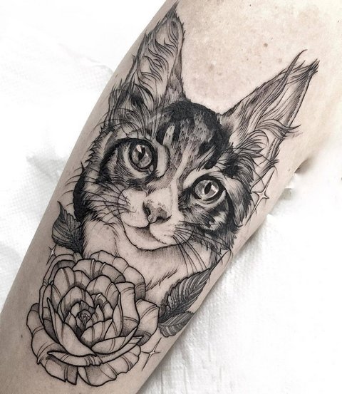 Signification des tatouages de chat pour les filles et les hommes, chats égyptiens, sphinx, tête de chat, noir, ailes, pattes