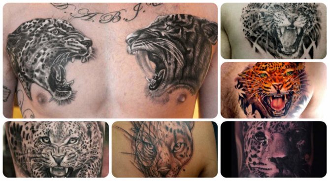 Image Signification du tatouage Jaguar et exemple d'image de belle apparence 1024x563.jpg