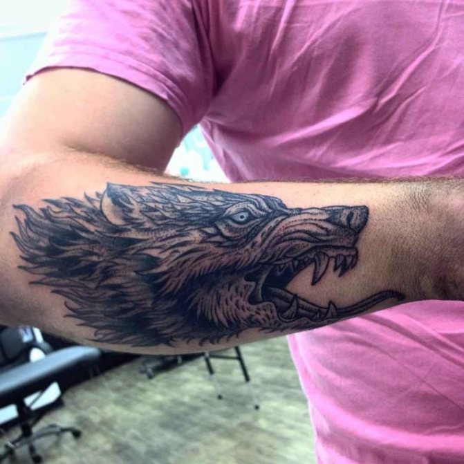 signe du loup